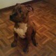 con 3 meses ya .